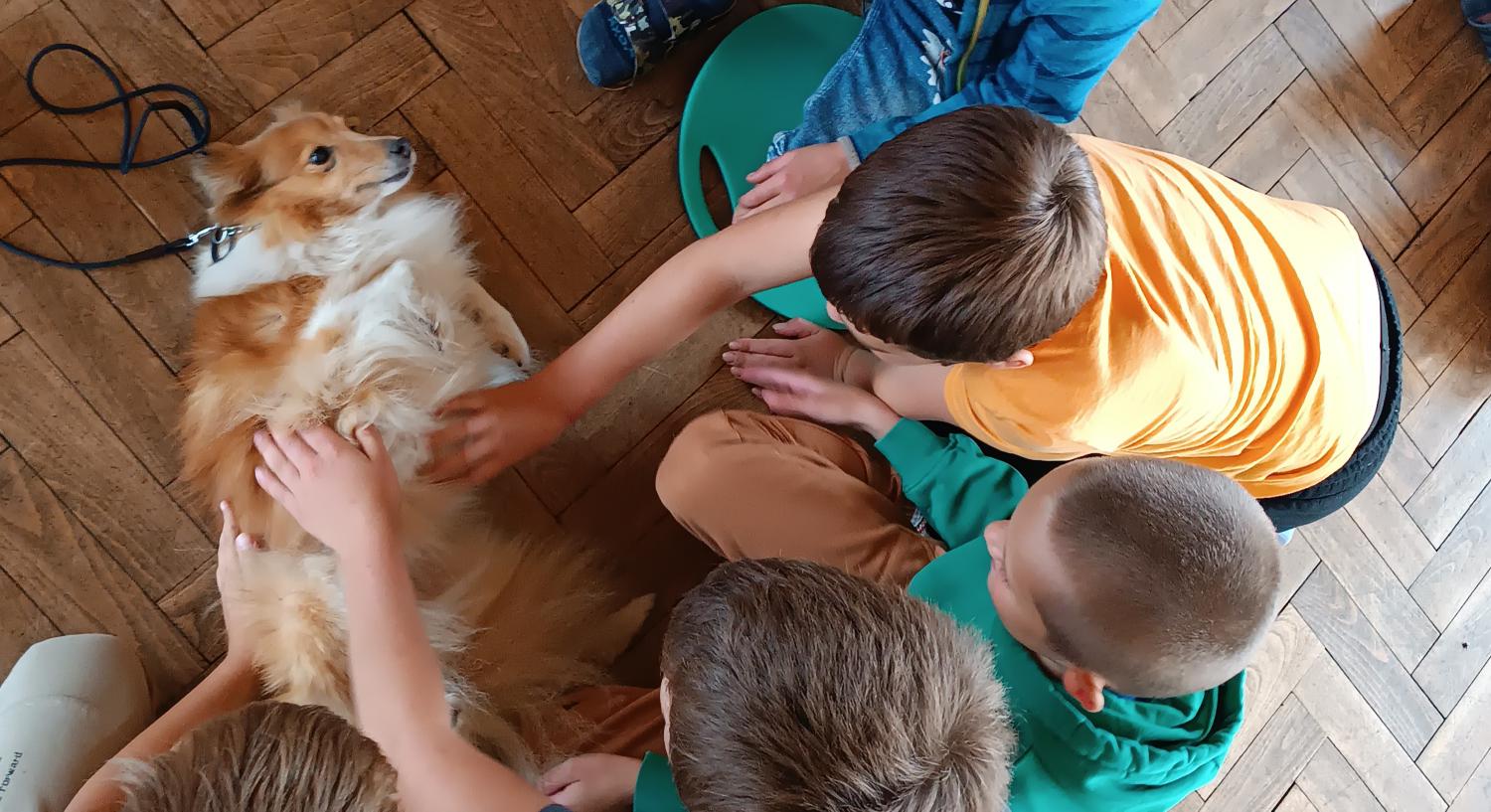 ŠD: Edukační program Nehlaď toho psa!